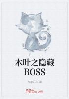 木叶之隐藏BOSS