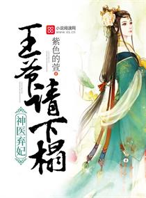 神医弃妃:王爷,请下榻!