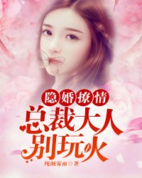 隐婚撩情:总裁大人别玩火