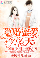 隐婚蜜爱99天:顾少拥上瘾