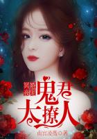 冥婚夜宠:鬼君,太撩人
