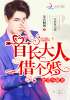 首长大人,借个婚!
