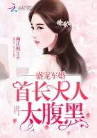 盛宠军婚:首长大人太腹黑