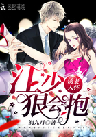 诱妻入怀,江少狠会抱