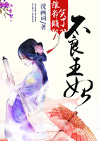 不良王妃:让爷贱笑了