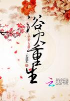 浴火重生:绝世女将