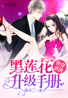 快穿虐渣:黑莲花升级手册
