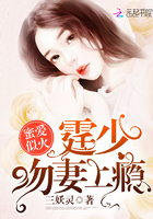 蜜爱似火:霆少,吻妻上瘾
