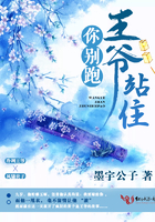 王爷站住你别跑!