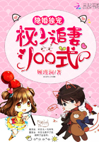 隐婚独宠:权少追妻100式