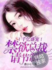 千亿盛宠:禁欲总裁请节制