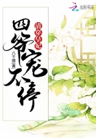 清穿皇妃:四爷,宠不停