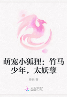萌宠小狐狸:竹马少年,太妖孽