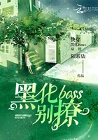 快穿:黑化boss别撩