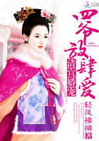 清宫娇宠:四爷,放肆爱